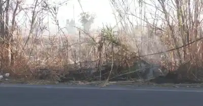 Incendios en Médano de Oro: el sistema de quemas controladas que busca frenar el fuego y cómo acceder