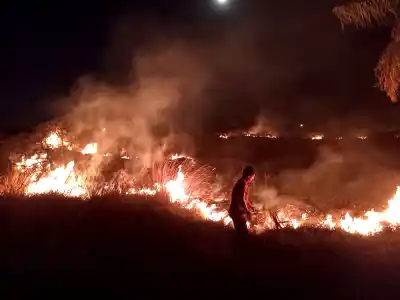 Incendio en Itaembé Guazú: el detalle que preocupa a Bomberos pese al pasto verde
