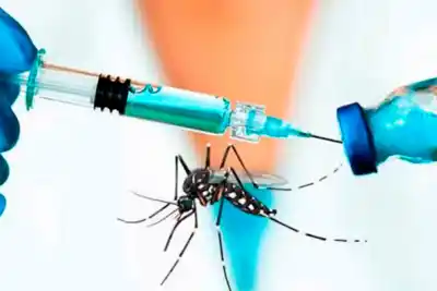 Chikungunya en Tucumán: gestionan la llegada de una vacuna de una sola dosis antes del verano