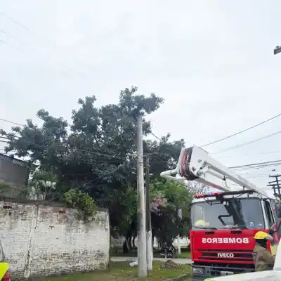 Murió electrocutado mientras cortaba paltas en San Miguel de Tucumán: cómo fue el operativo de rescate