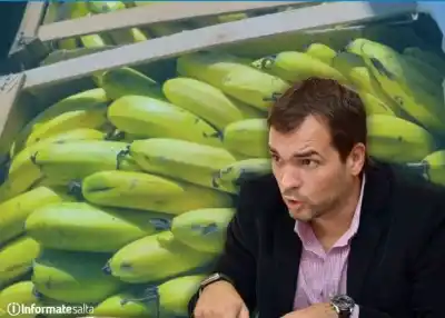 Media sanción a la ley de la banana salteña: la advertencia de Curá sobre los productores más chicos