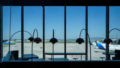 Dos empleados del aeropuerto de Fráncfort murieron por malaria: cómo habrían llegado los mosquitos