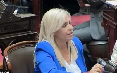 Nancy Picón defendió la reforma del BCRA y lanzó una frase contundente sobre Milei y Orrego