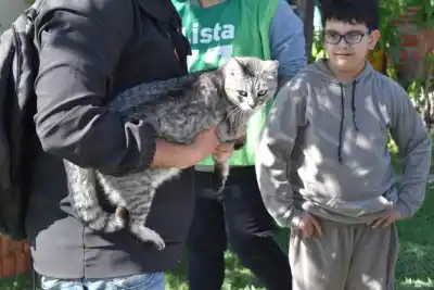 Jornadas gratuitas de vacunación para mascotas en Goya y Esquina: dónde y a qué hora