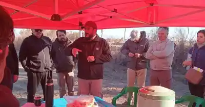 Quinua en San Martín: la apuesta del municipio para diversificar la producción local