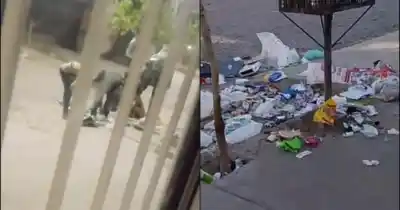 Denuncian que revisan contenedores en Pocito y dejan la calle llena de basura: a qué hora ocurre
