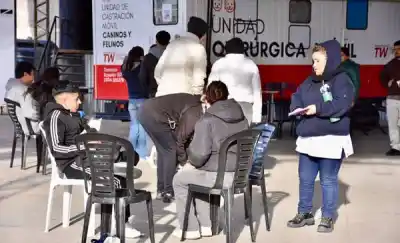 Trelew: 37 castraciones en una nueva jornada del quirófano móvil y así sigue el cronograma