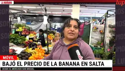 La banana bajó hasta $10.000 el cajón en el Mercado San Miguel: cuánto cuesta la palta en pleno aumento