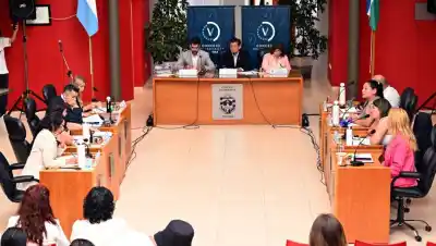 Gastos municipales en Viedma: el proyecto que busca que se publiquen en 30 días