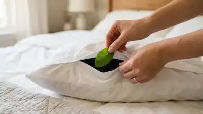 El truco con una planta aromática que promete revolucionar tu descanso nocturno