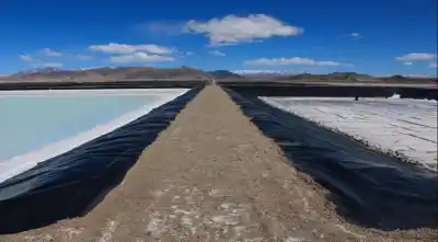 BID Invest destinará US$700 millones al litio de Posco en Salta y Catamarca: cómo se repartirá el financiamiento