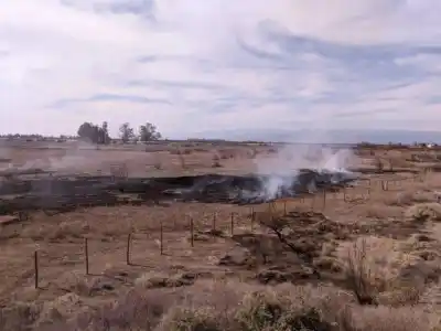 Incendio de pastizales en Médano de Oro: el dato que preocupa a los vecinos de Rawson
