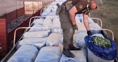 Secuestraron casi tres toneladas de hojas de coca en Salta: el destino final del cargamento