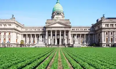 El Congreso pone en marcha sus comisiones clave para el campo: quiénes son los nuevos titulares y qué se espera de ellos