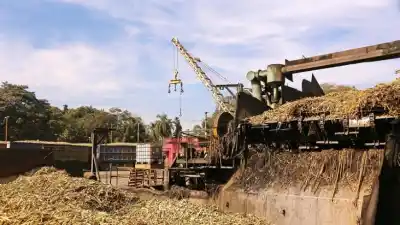 La zafra argentina ya molió 13,8 millones de toneladas de caña: el dato que marca el ritmo récord