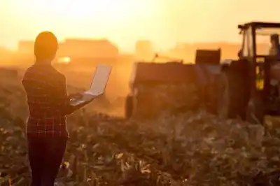 El Banco Nación marca récord en créditos al agro: cuánto financió y qué tasas ofrece