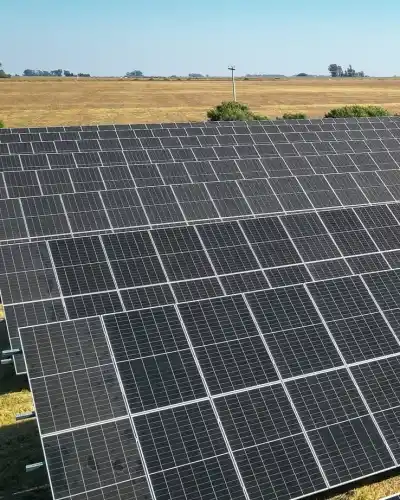 El Parque Solar de Cotagro y COPESP ya opera al 100%: el dato que marca su impacto ambiental