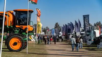 Expo Rural de Río Cuarto: los cambios en accesos y estacionamiento para la edición 2026