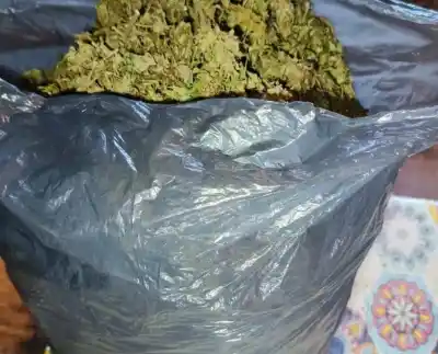 Secuestraron más de un kilo de marihuana en Ancasti: el insólito motivo del allanamiento
