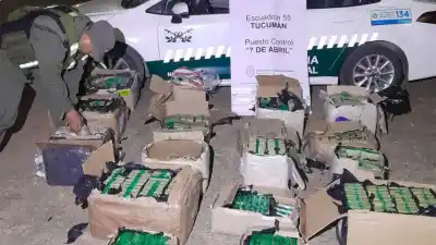 Secuestran 186 kilos de hojas de coca en un camión: el cargamento superaba los $8 millones