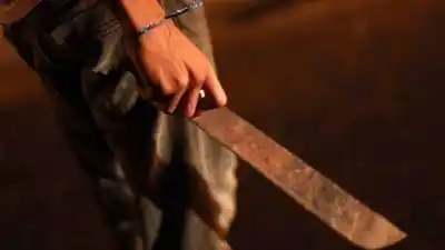 Pelea de perros terminó con un ataque a machetazos en Alto Comedero: las denuncias cruzadas que investiga la Justicia