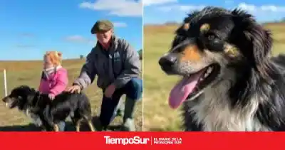 Una border collie de Santa Cruz competirá en el Mundial de Perros Pastores: el exigente circuito que deberá superar
