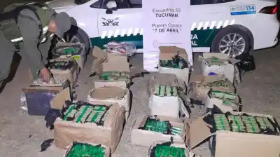 Secuestran 186 kilos de hojas de coca en un control sobre la ruta 34: el dato que llamó la atención de los gendarmes
