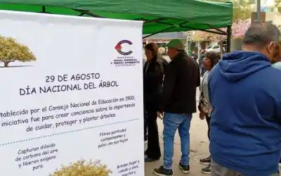 Día del Árbol en Catamarca: la historia detrás de la entrega de ejemplares en Plaza 25 de Mayo