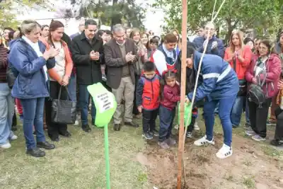 Forestación en el barrio Borges: cuántos árboles plantó la Municipalidad y qué prevé para los próximos días