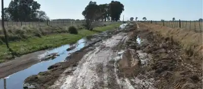 CARBAP advirtió por los caminos rurales ante El Niño: qué reclaman los productores a los municipios