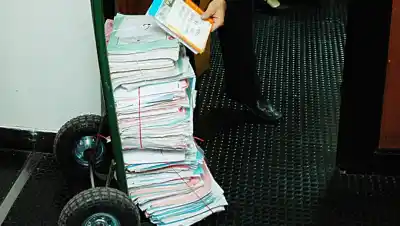Educación de Río Negro crea un Área de Expurgo: cómo será el proceso para eliminar expedientes en papel