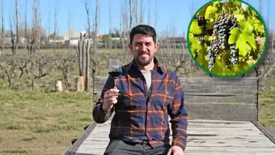 De una chacra de lúpulo a una bodega de 40.000 litros: la historia familiar detrás de los vinos del Alto Valle