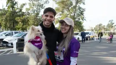 Mascotón en Rosario: cómo fue la primera caminata para compartir con tu mascota
