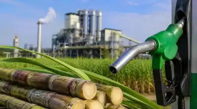 Buscan reformar el régimen de biocombustibles en Salta: qué beneficios fiscales se suman y cómo impactaría en el bolsillo