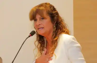 Ley de Reiterancia: Grillo pide prudencia pero evita fijar postura del STJ