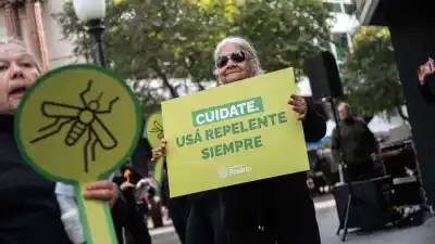 Dengue en Rosario: la estrategia que logró frenar los contagios y el plan para sostenerlo