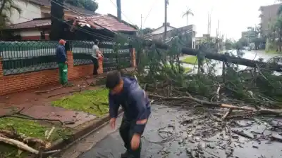 Tormentas en Posadas: las cuadrillas municipales ya trabajan para despejar las calles