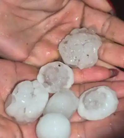 Alerta por la Tormenta de Santa Rosa: qué zonas de Misiones se verán más afectadas
