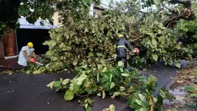 Tras el temporal, las cuadrillas municipales trabajan a contrarreloj para despejar las calles de Posadas