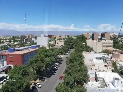 Más de mil árboles erradicados en San Juan: el plan para reponerlos y la multa por podas incorrectas