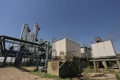 Biocombustibles: la industria proyecta inversiones por US$ 1.000 millones si se aprueba la nueva ley