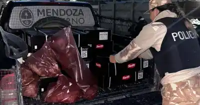 37.000 kilos de carne decomisada en Mendoza: cómo se rompe el circuito legal y qué documentación exigen