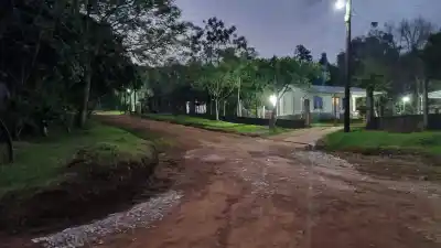 Muerte de una mujer de 93 años tras el ataque de un perro en Misiones: el relato del vecino que la halló