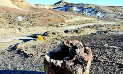 Bosque Petrificado de Sarmiento: cómo planean sumar astroturismo y nuevos senderos