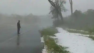 Temporal en Misiones: los daños que dejó la tormenta y las zonas más afectadas