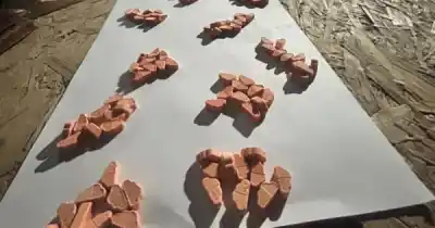 Secuestraron drogas sintéticas y cocaína en el Gran Mendoza: qué encontraron en cada allanamiento