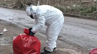 Hallaron 102 kilos de carne en descomposición en la vía pública de Neuquén: cuál es la hipótesis de su origen