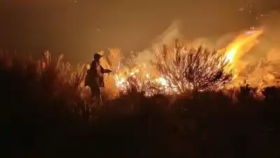 Incendio en la Puna jujeña: el fuego arrasó cinco hectáreas en Mocaraite y qué zonas quedaron en riesgo