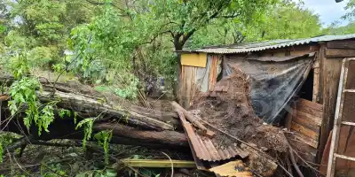 Tormenta en Posadas: un árbol derribó la pared de una habitación en el barrio Faraón y una familia pide ayuda