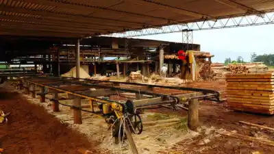 La macroeconomía crece, pero Misiones queda afuera: qué tres variables definen el 2027 para la provincia